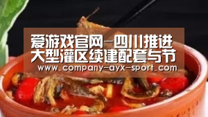 爱游戏官网-四川推进大型灌区续建配套与节水改造(图2) 爱游戏体育