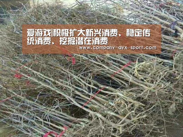 爱游戏|积极扩大新兴消费、稳定传统消费、挖掘潜在消费(图1) 爱游戏体育