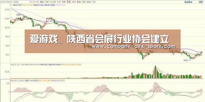 爱游戏官网