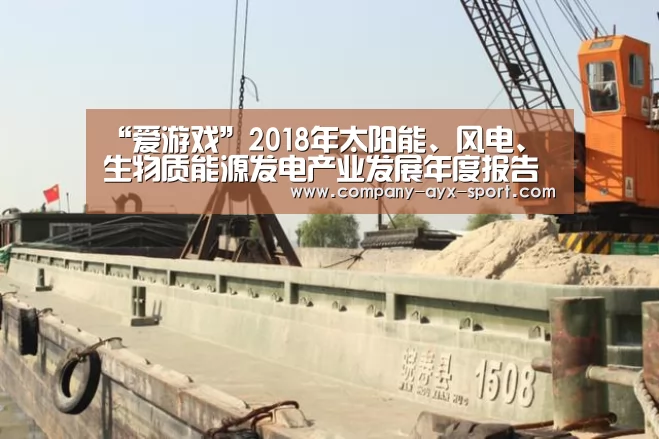 “爱游戏”2018年太阳能、风电、生物质能源发电产业发展年度报告(图1) 爱游戏官网