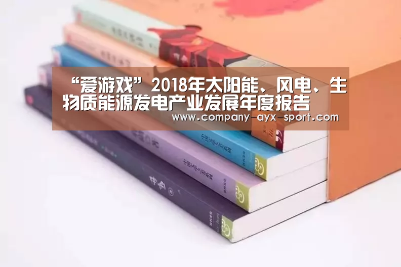 “爱游戏”2018年太阳能、风电、生物质能源发电产业发展年度报告(图2) 爱游戏官网