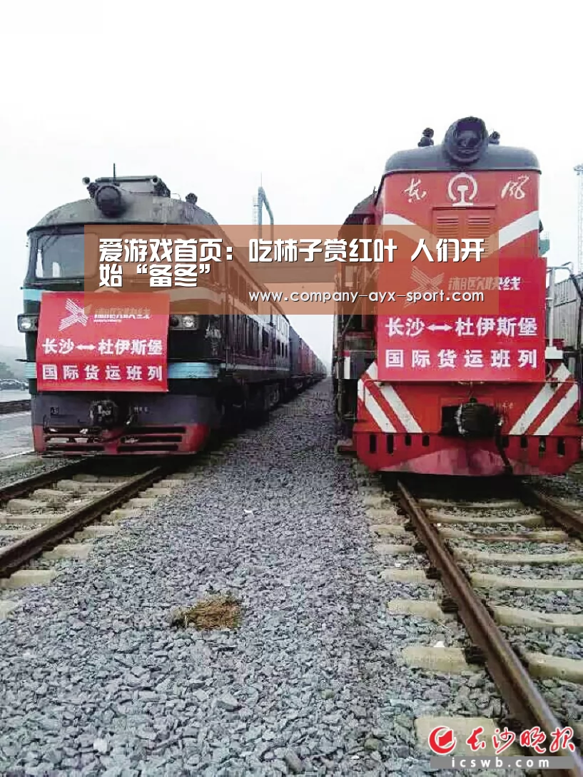 爱游戏首页:吃柿子赏红叶 人们开始“备冬”(图1) 爱游戏