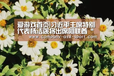 爱游戏首页|习近平主席特别代表杨洁篪将出席阿联酋“世界未来能源峰会”(图2) 爱游戏首页