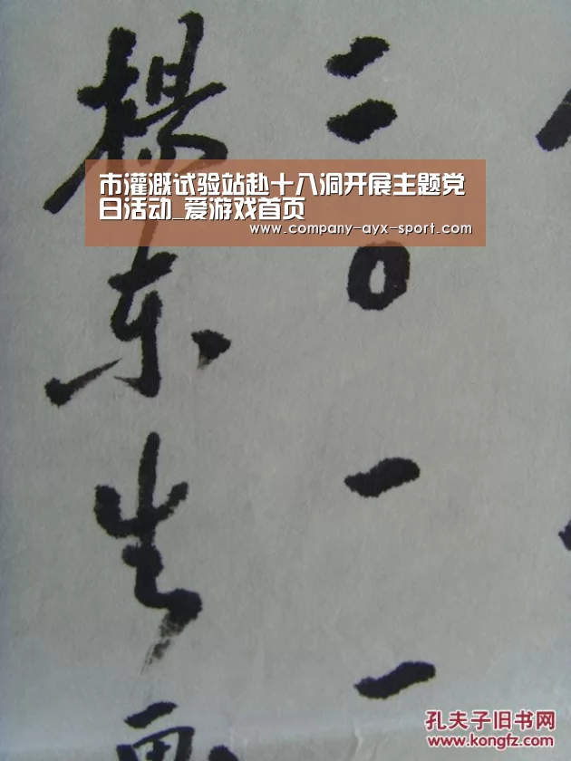 市灌溉试验站赴十八洞开展主题党日活动_爱游戏首页(图1) 爱游戏首页