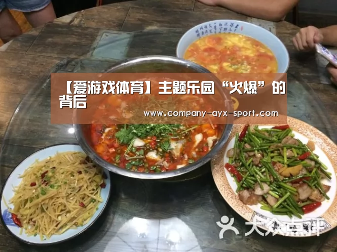 【爱游戏体育】主题乐园“火爆”的背后(图1) 爱游戏官网